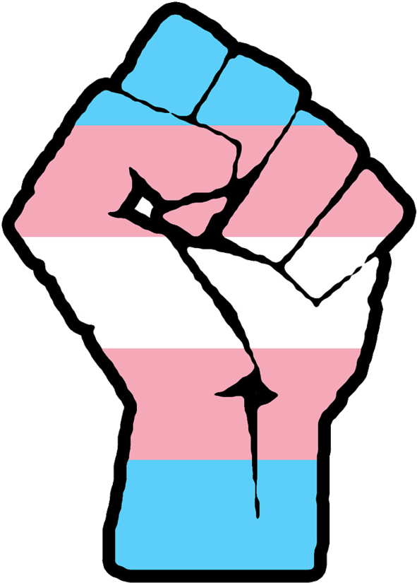 Therapy for trans people by trans people